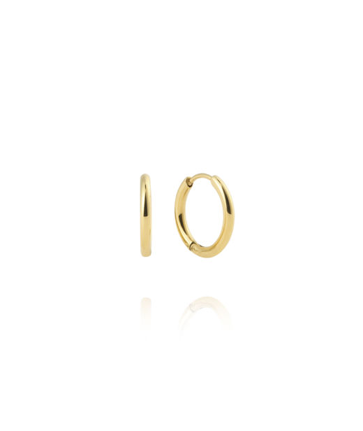 Stålörhänge Slim Gold Small Hoops