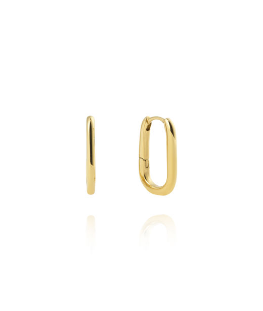 Stålörhänge Slim Gold Medium U-Hoops