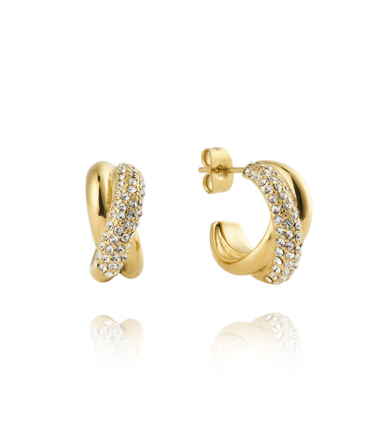 Stålörhänge Aurora Hoops Gold