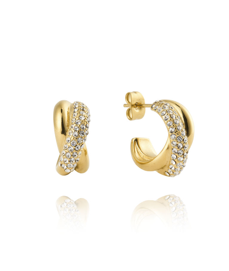 Stålörhänge Aurora Hoops Gold
