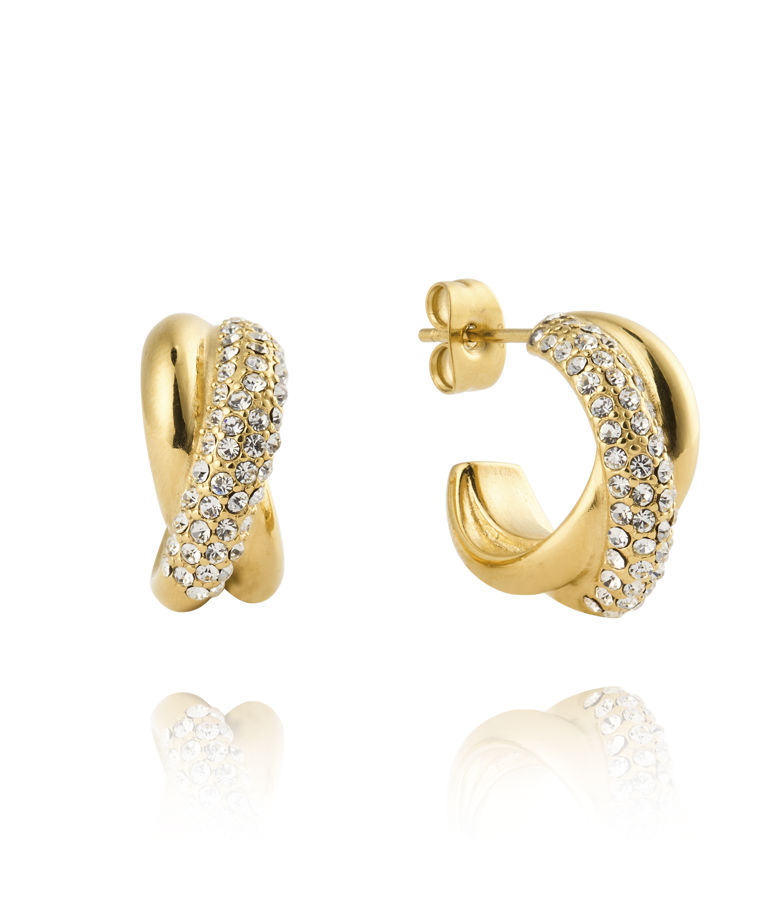 Stålörhänge Aurora Hoops Gold