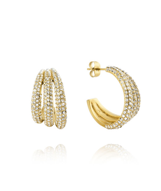 Stålörhänge Aurelia Gold
