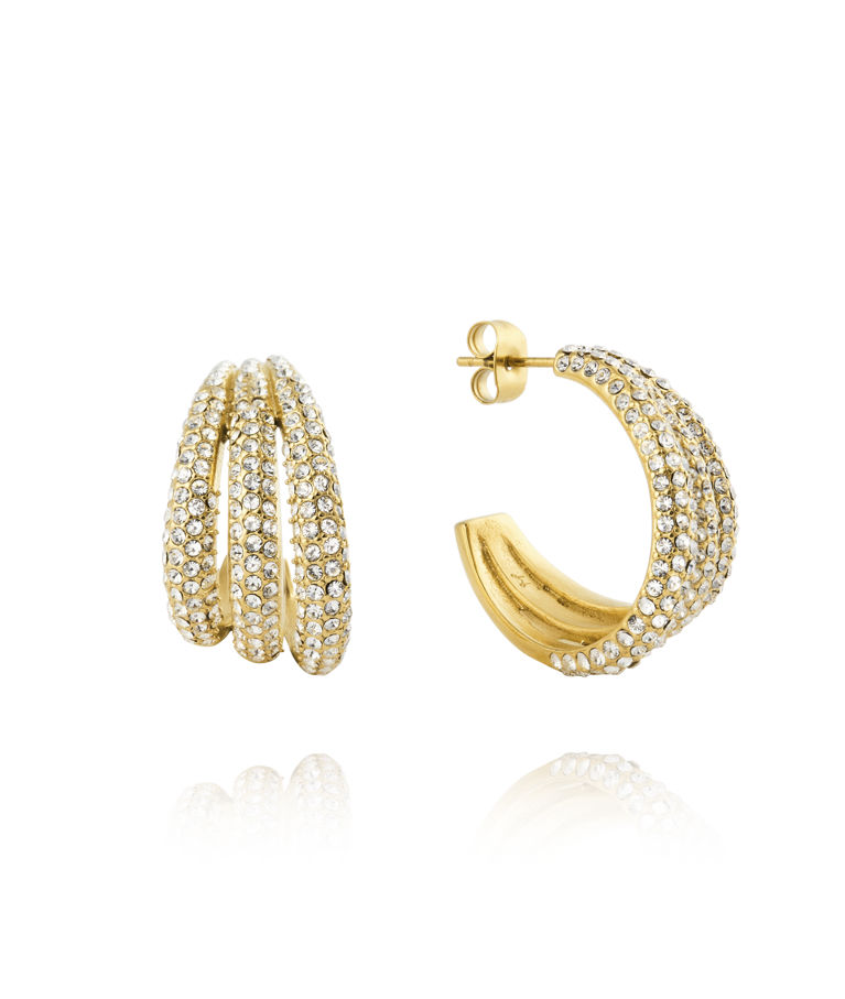 Stålörhänge Aurelia Gold