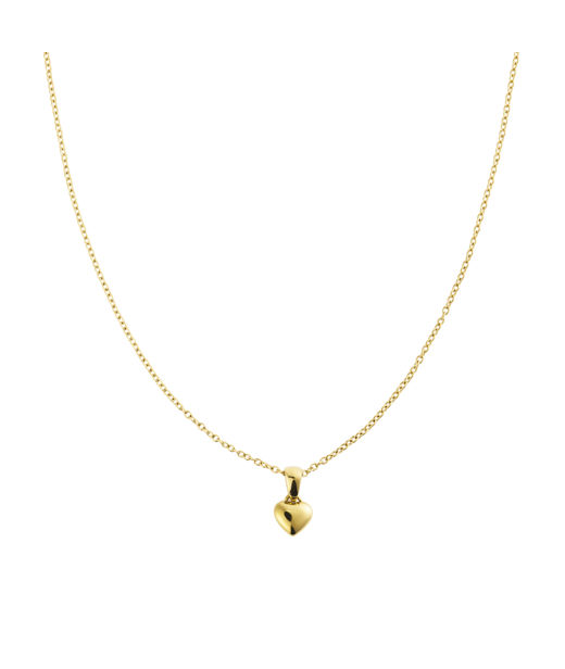 Stålhalsband Sweetheart Medium Gold