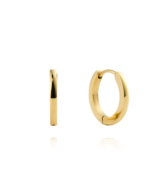 Stålörhänge Classic Hoops Small gold