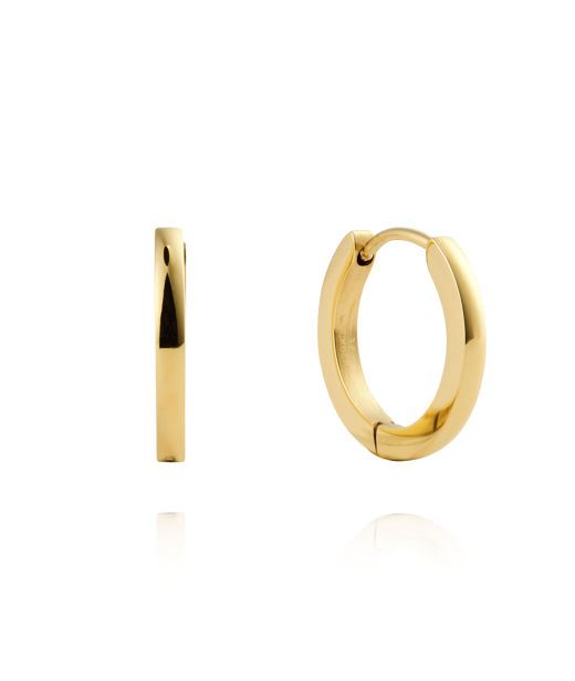 Stålörhänge Classic Hoops Small gold