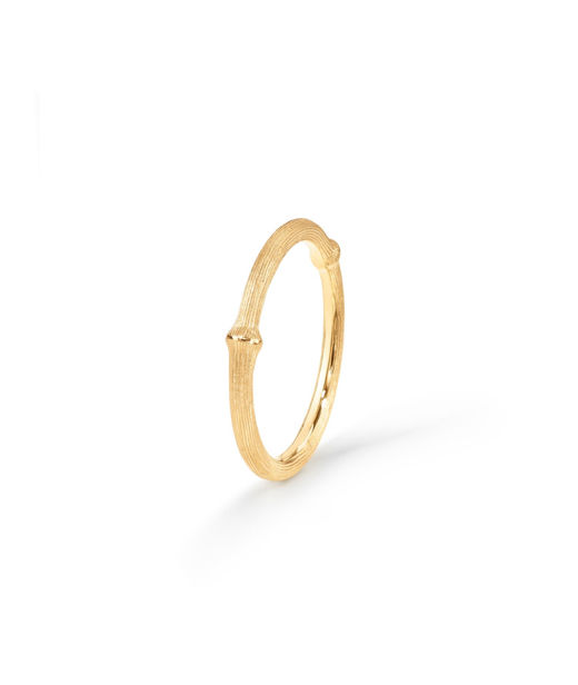 18k gg ring Nature no.1 BSG CC SIZE 54