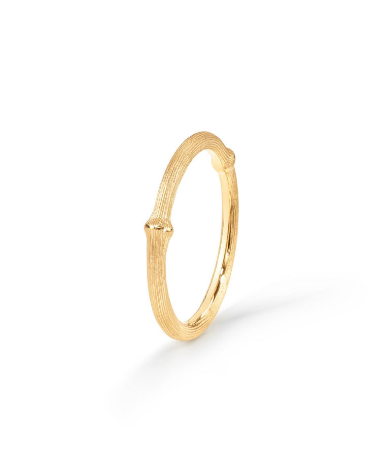 18k gg ring Nature no.1 BSG CC SIZE 54