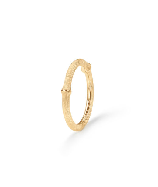 18k gg ring Nature no.2 BSG CC SIZE 55