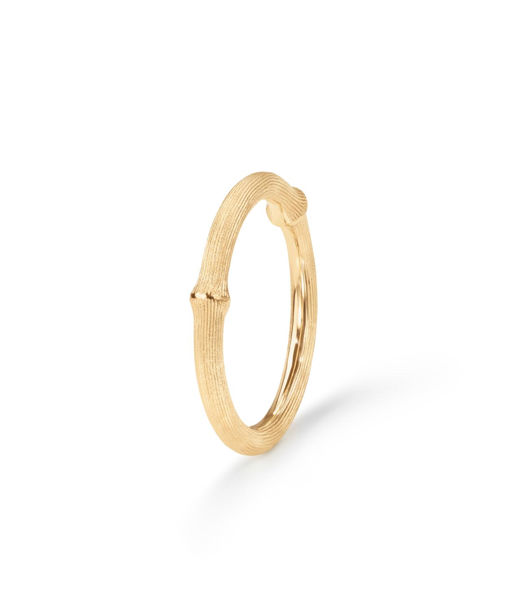 18k gg ring Nature no.2 BSG CC SIZE 55
