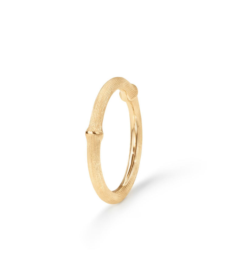 18k gg ring Nature no.2 BSG CC SIZE 55