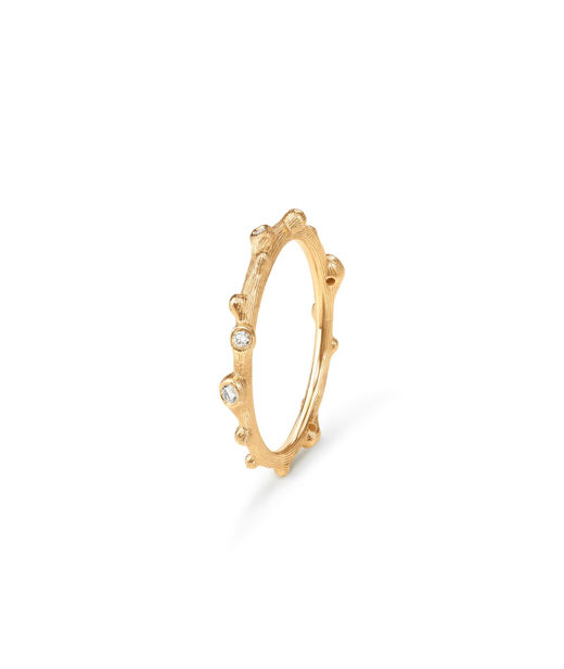 18k gg ring Nature tot 0,04ct tw/vs BSG CC SIZE 53