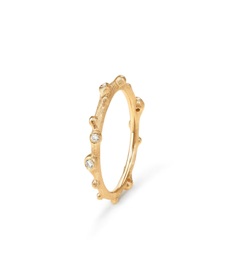 18k gg ring Nature tot 0,04ct tw/vs BSG CC SIZE 53