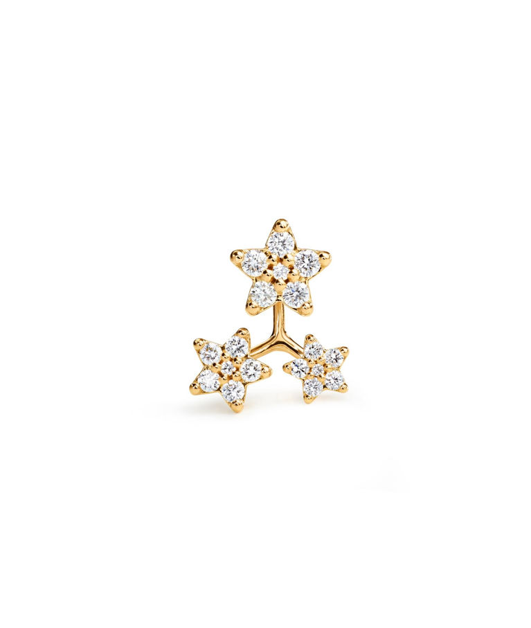 18k rg örhänge Shooting Star 0,19ct tw.vs (styckvis) CC