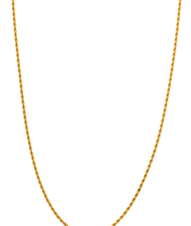Stålhalsband Epione Golden Cordell gold