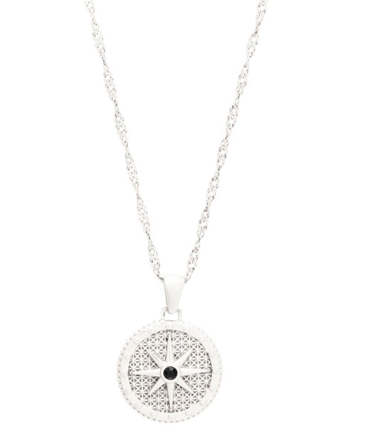 Stålhalsband Theia Black Onyx