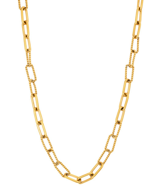 Stålhalsband Länkar Gold
