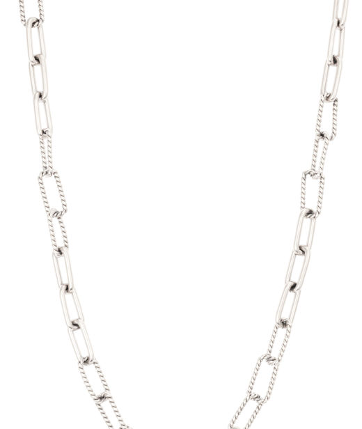 Stålhalsband Länkar