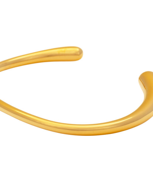 Stålarmring Hera Soft Curve gold