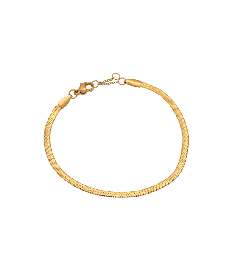 Stålarmband Epione Herringbone gold