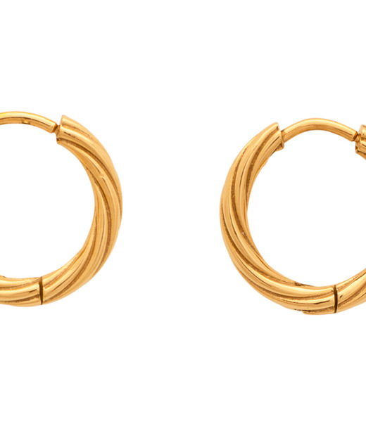 Stålörhänge Theia Twisted Creol gold