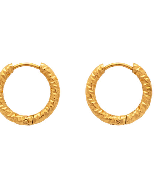 Stålörhänge Theia Hammered Creol gold