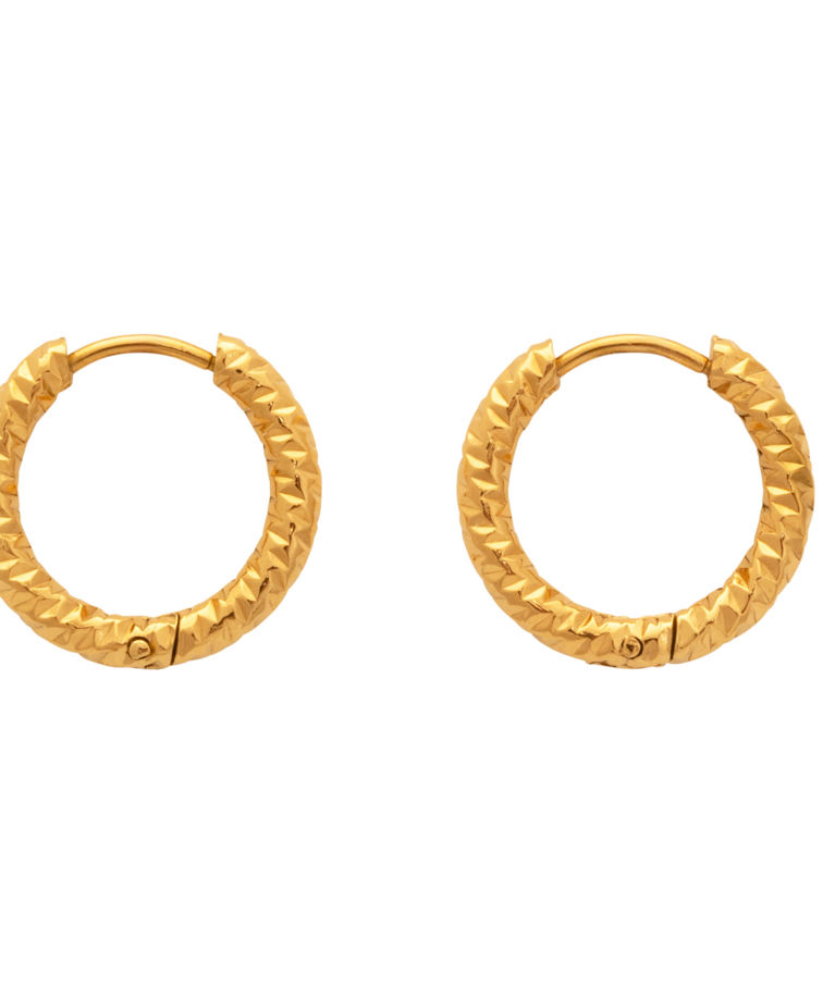 Stålörhänge Theia Hammered Creol gold