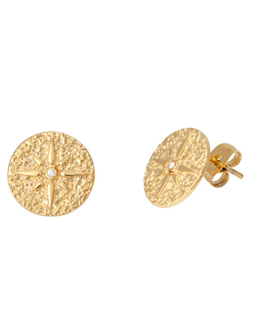 Stålörhänge Star Gold