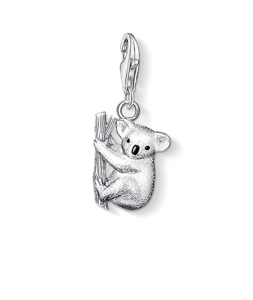 Silverberlock Koala bear.