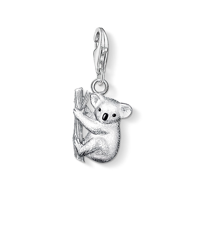 Silverberlock Koala bear.