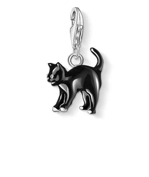 Silverberlock Cat