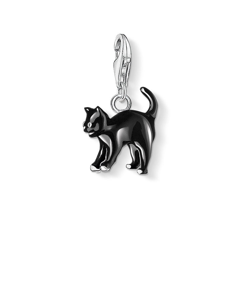 Silverberlock Cat