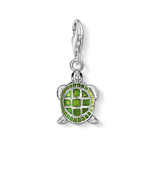 Silverberlock Turtle