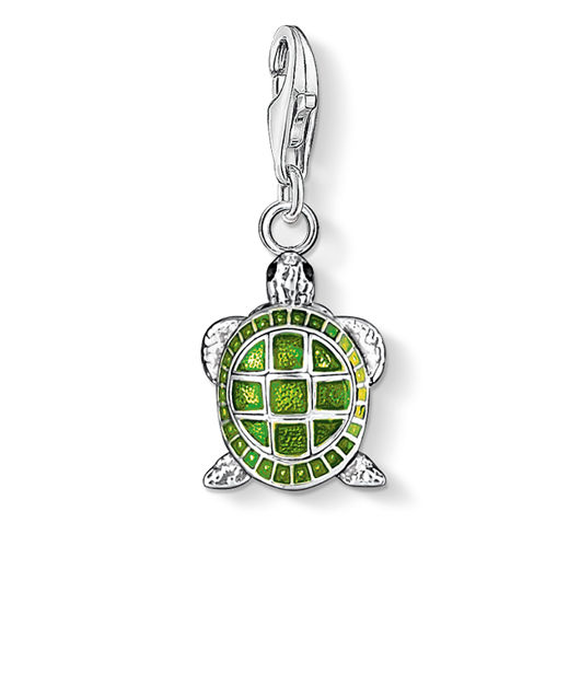Silverberlock Turtle