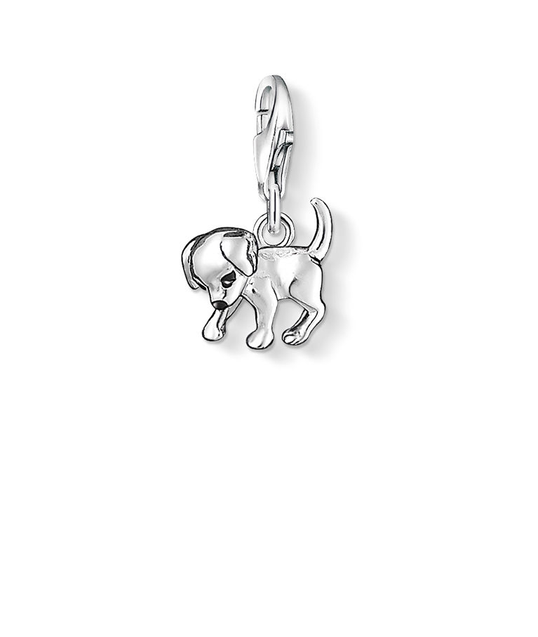 Silverberlock Dog