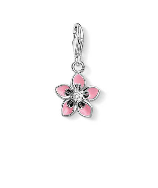 Silverberlock Flower