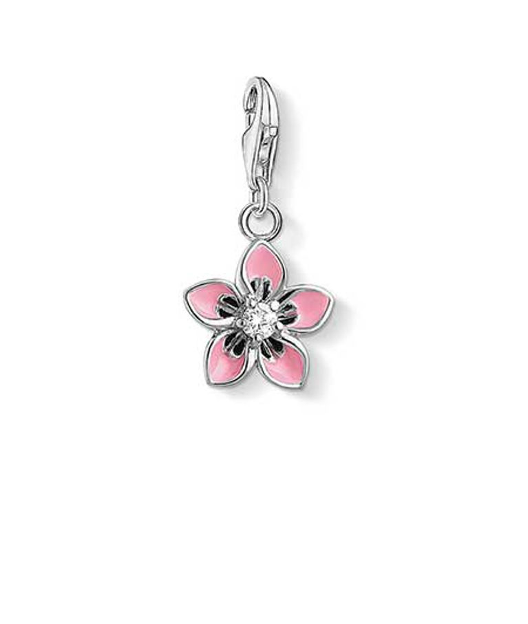 Silverberlock Flower