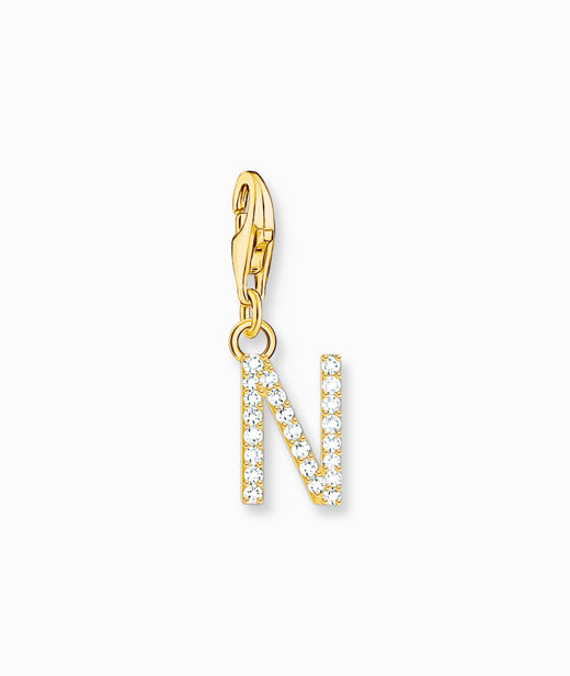 Silverberlock Letter N cz fg