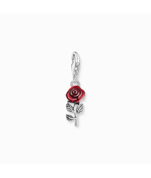Silverberlock Rose