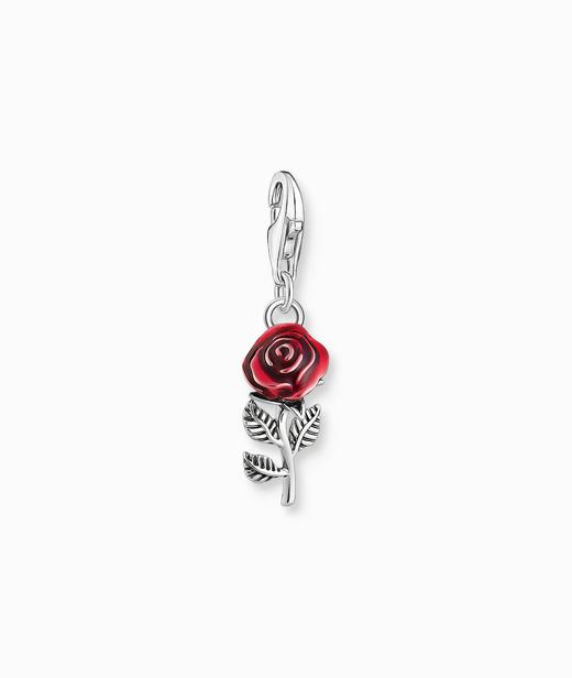 Silverberlock Rose