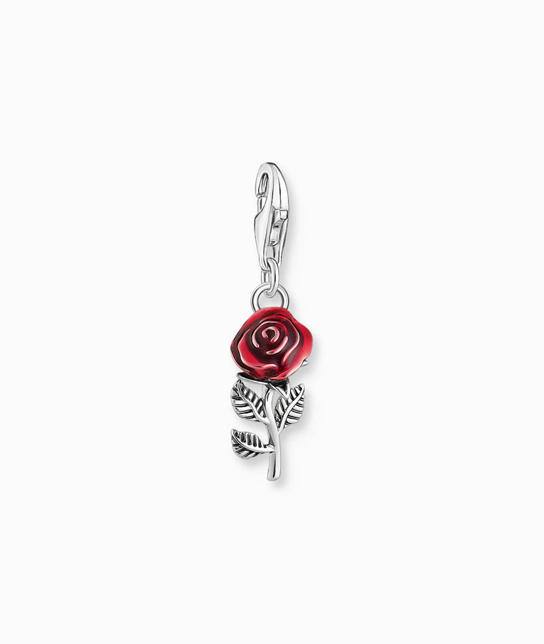 Silverberlock Rose