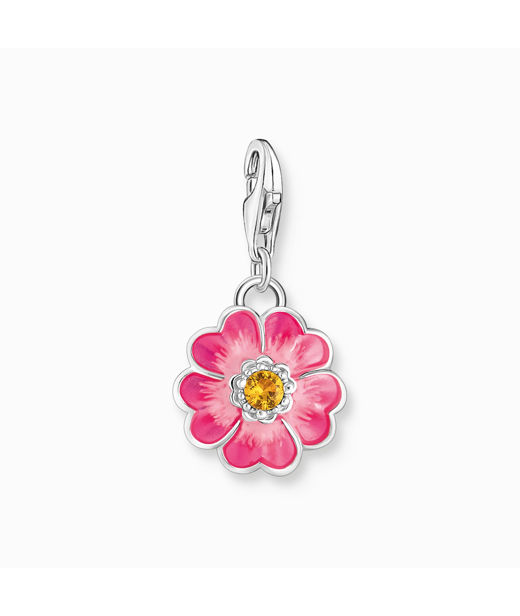 Silverberlock Rosa blomma