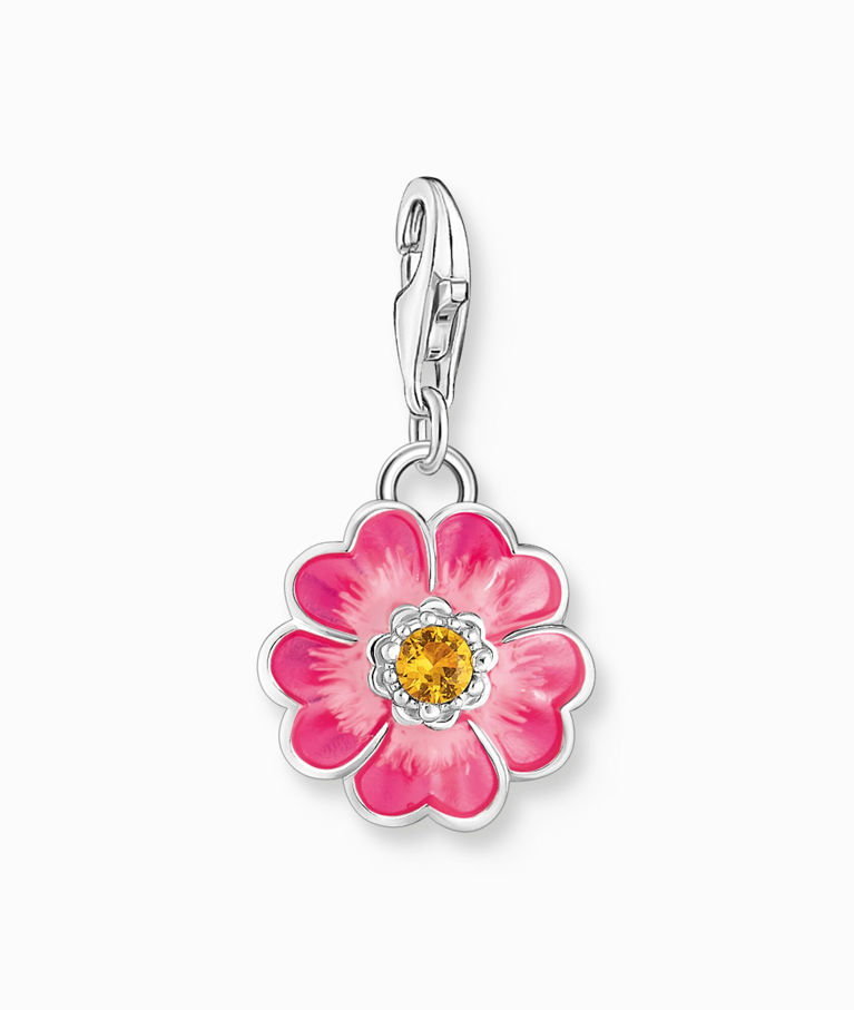 Silverberlock Rosa blomma