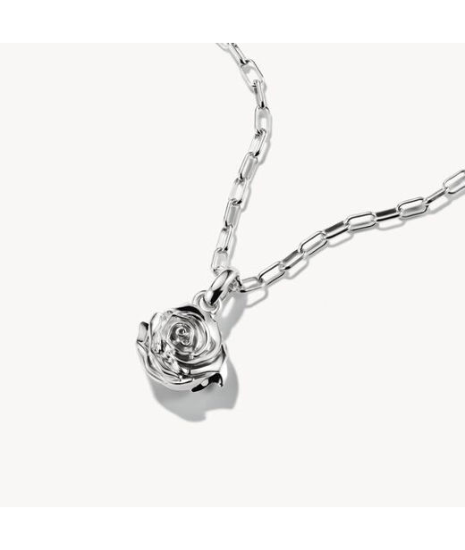 Silverberlock Rose Blossom Connect