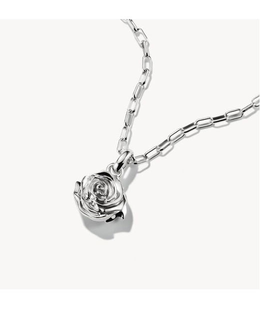 Silverberlock Rose Blossom Connect