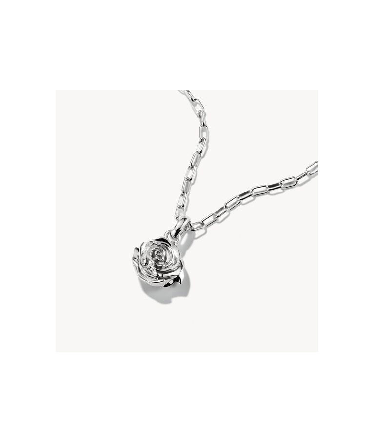 Silverberlock Rose Blossom Connect