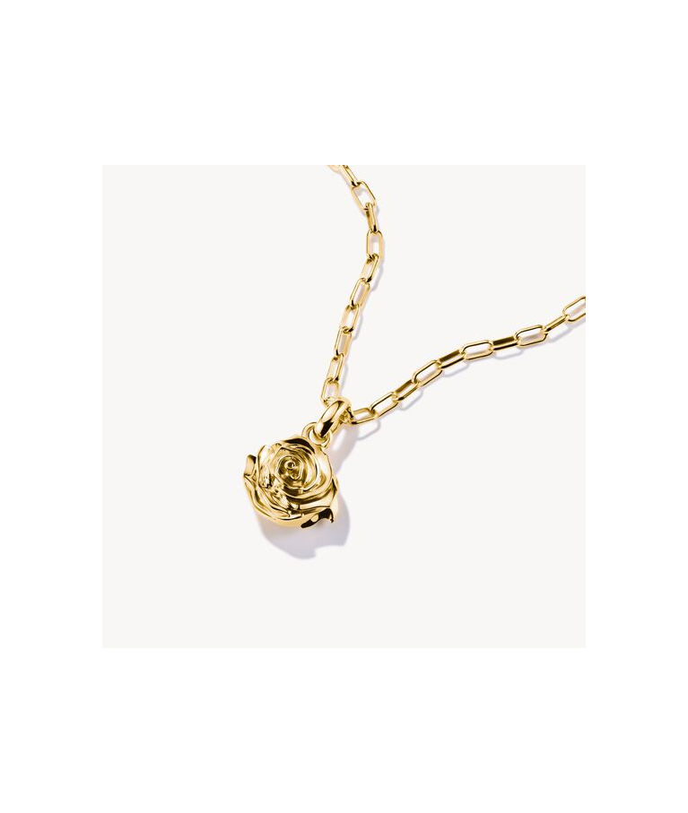 Silverberlock Rose Blossom Connect fg