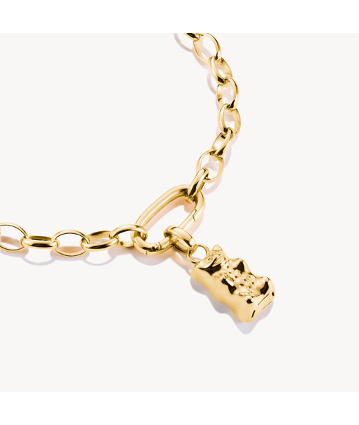 Silverberlock Goldbear Connect fg