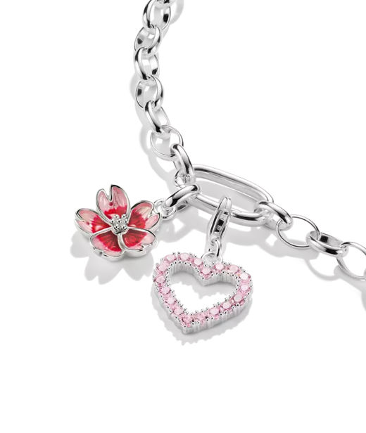 Silverhänge Rosa Blomma