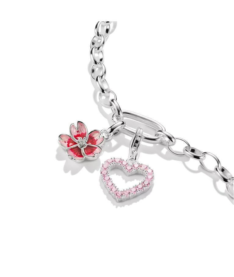 Silverhänge Rosa Blomma